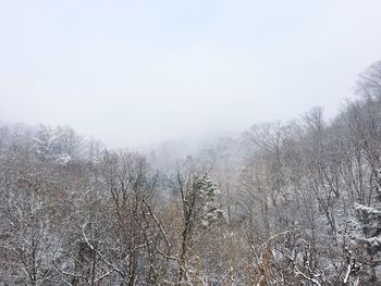 Bare trees on landscape against sky during winter