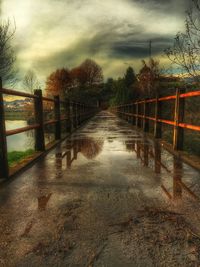 View of empty walkway in park