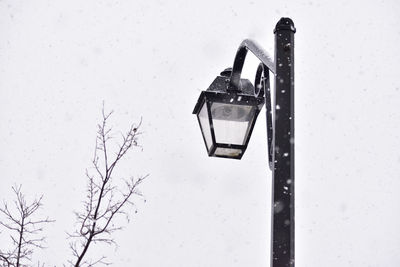 Low angle view of snow covered street lights against sky