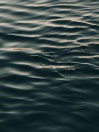 High angle view of rippled water