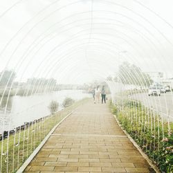 Rear view of people walking on footpath