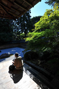 Rear view of man sitting by plants