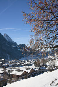 Snow covered tree and houses against sky