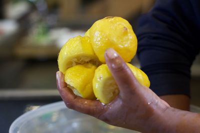 Close-up of hand holding fruit