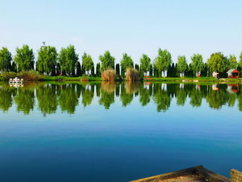 Reflection of trees in calm lake