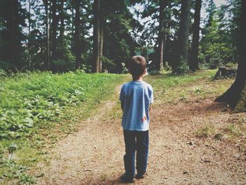 Rear view of boy walking in forest