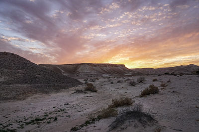 Scenic view of desert against sky during sunset
