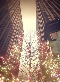 Low angle view of illuminated christmas tree at night