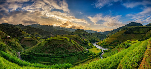 Scenic view of terraced field