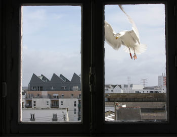 View of buildings against sky seen through glass window