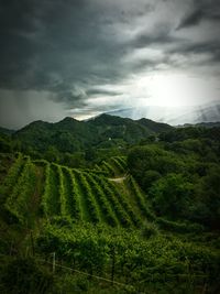 Scenic view of field against cloudy sky