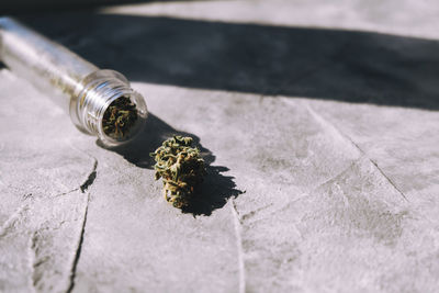 High angle view of cigarette on table