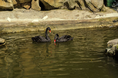 Men on rock by lake