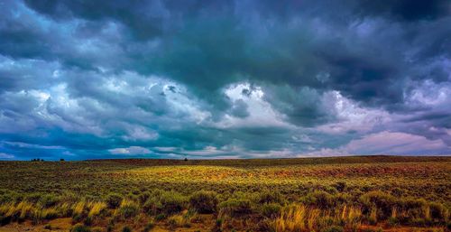 Scenic view of field against sky