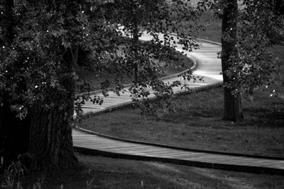 High angle view of railroad tracks by trees