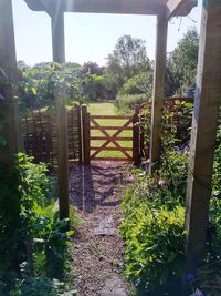 Plants and gate on field