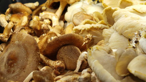 Close-up of chanterelle mushrooms