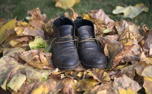 Low section of shoes on autumn leaves