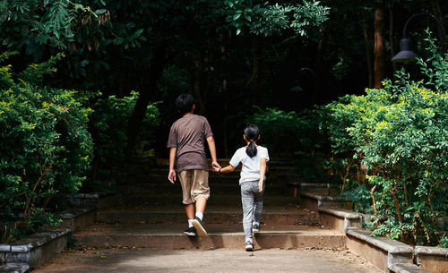 Rear view of friends walking on plants against trees