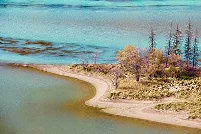 Scenic view of beach