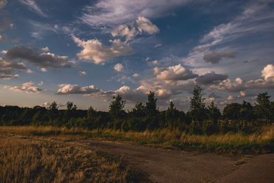 Scenic view of agricultural field against sky during sunset