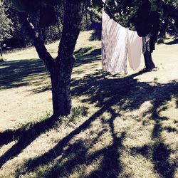 Clothes drying on tree trunk