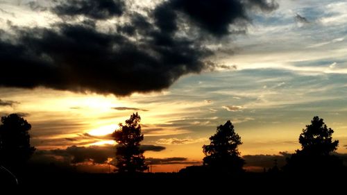 Silhouette of trees against cloudy sky