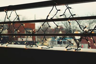 Christmas lights on railing