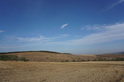 Scenic view of agricultural field against blue sky