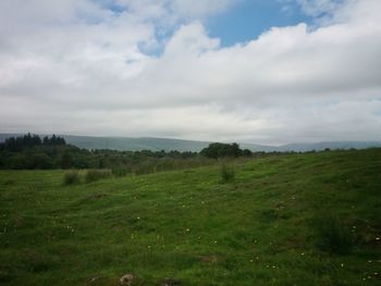 Nature scenery with green field and sky