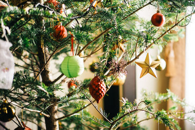 Low angle view of christmas tree