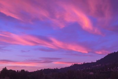 Silhouette trees against sky during sunset