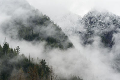 Low clouds and fog rolling through the cascade mountains with snow