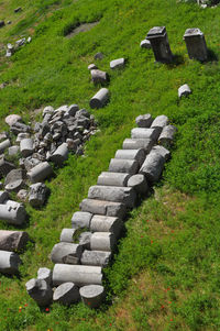 High angle view of grassy field