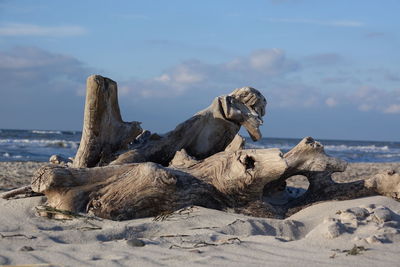 Driftwood on rock by sea against sky