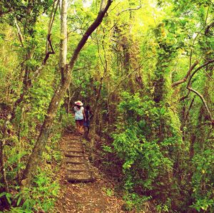 Full length of people walking in forest