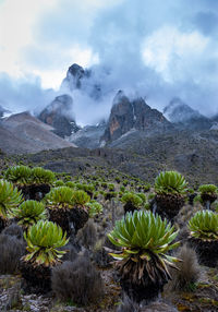 Scenic view of land and mountains against sky