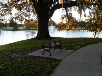 Trees by lake in park against sky