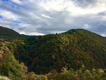 Trees on mountain landscape against cloudy sky