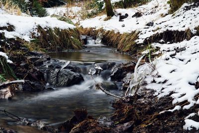 Stream flowing through rocks in forest