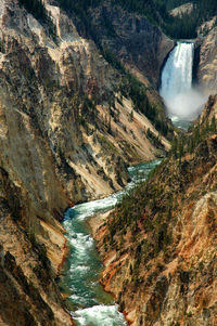 Lower falls at yellowstone national park