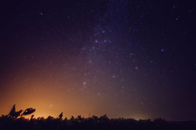 Low angle view of silhouette trees against star field
