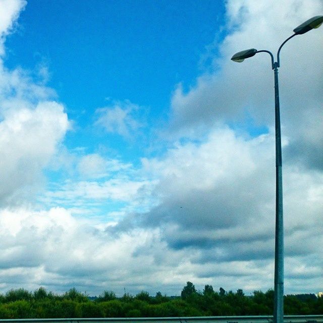 sky, street light, cloud - sky, tree, cloudy, cloud, low angle view, tranquility, nature, tranquil scene, blue, pole, beauty in nature, scenics, lighting equipment, growth, outdoors, day, no people, idyllic