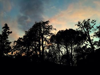 Low angle view of silhouette trees against sky at sunset