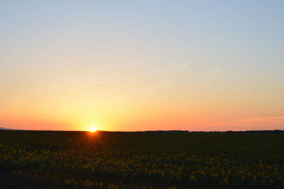 Scenic view of field against romantic sky at sunset