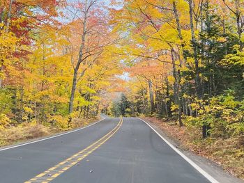 Road amidst trees during autumn