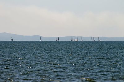 Sailboats sailing in sea against sky