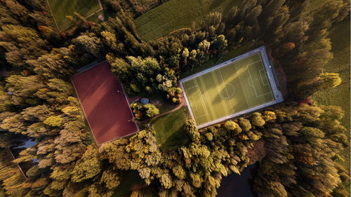 Aerial view of court amidst trees