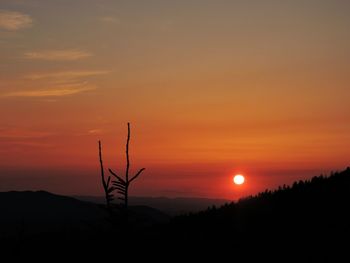 Scenic view of sunset