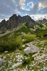 Solisko mountain view from mlynicka valley, high tatras, slovakia
